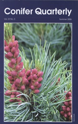Conifer Quarterly