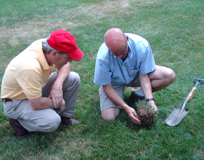 Testing soil at Mertz Lawn. photo credit: C. Robertson