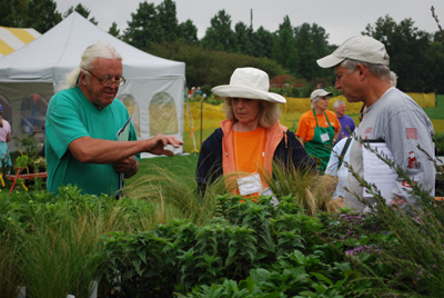 Scott Plant Sale karol 131