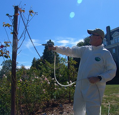 If you see a gardener in a spray suit applying a smelly substance in the Dean Bond Rose Garden, it is not chemical based even though these treatments are applied with equipment similar to traditional treatments. photo credit: R. Robert