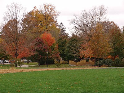 A glimpse at the Scott Arboretum' Maple Collection in fall splendor. photo credit: R. Robert