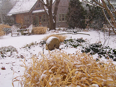 snow in the garden