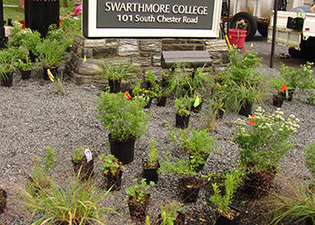 Gravel Gardening: The Planting Formula to Success