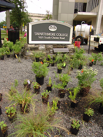 Chester Road Planting