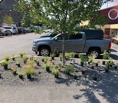 truck planting