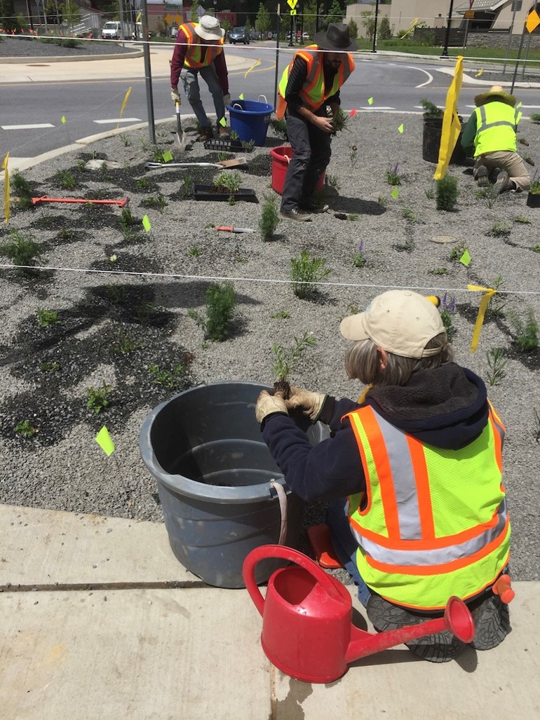 planting in the roundabout