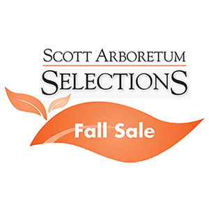 SAS Fall Sale 300 by 300