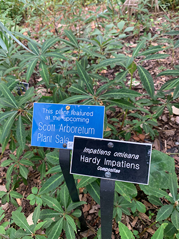two garden signs