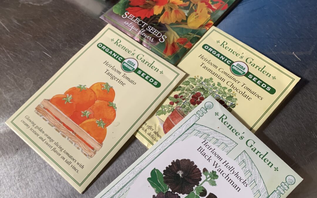 #BranchOut: Seeding Starting