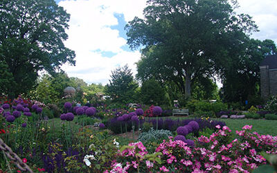 Plants of the Week: June 15