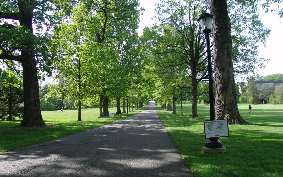 Gardener’s Almanac: July 27 – Preserving Large Trees