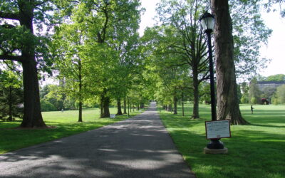 Gardener’s Almanac: July 27 – Preserving Large Trees