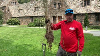 Andrew holding a grass division