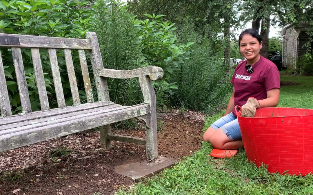 Gardener’s Almanac: Aug. 31 – Creating a Natural Edge