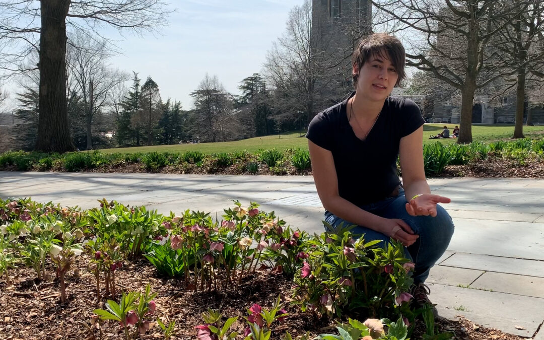 Gardener’s Almanac: March 22 – Mulching Tips