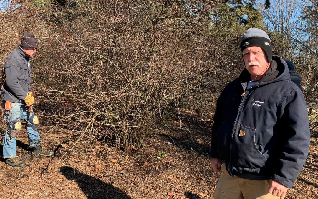 Gardener’s Almanac: Thinning Shrubs – Jan. 2022