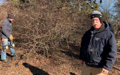 Gardener’s Almanac: Thinning Shrubs – Jan. 2022