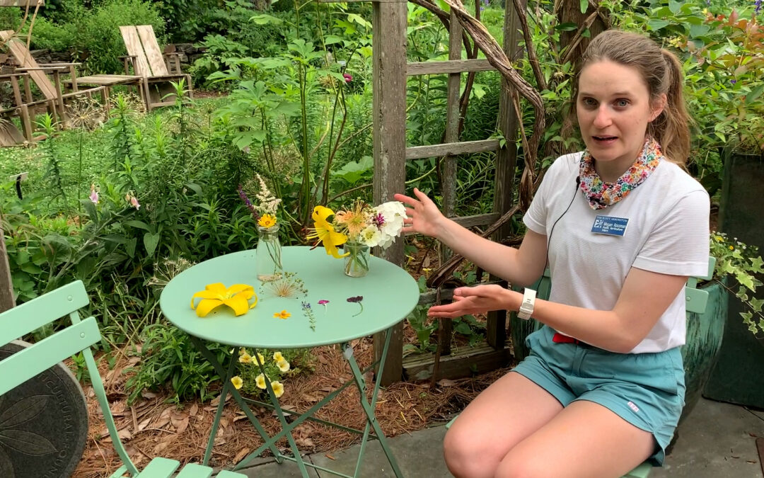 Gardener’s Almanac:  Pressed Flowers