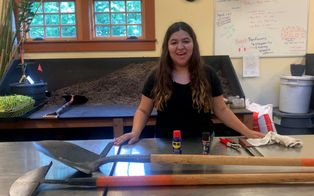 Gardener’s Almanac: Garden Tool Maintenance