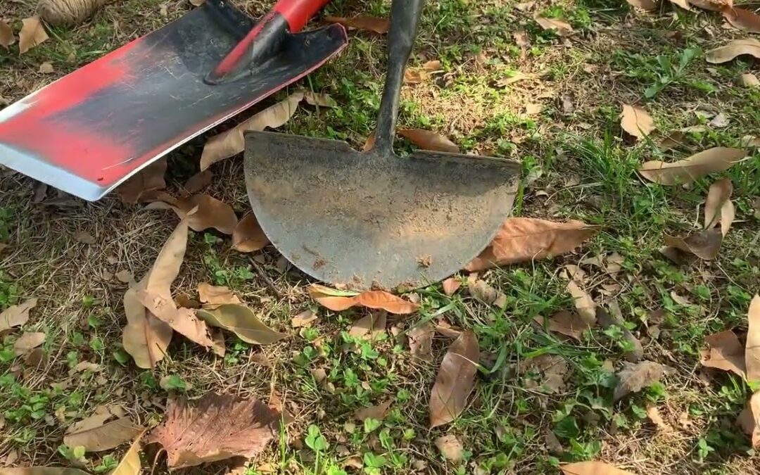 Gardener’s Almanac: Garden Bed Edging