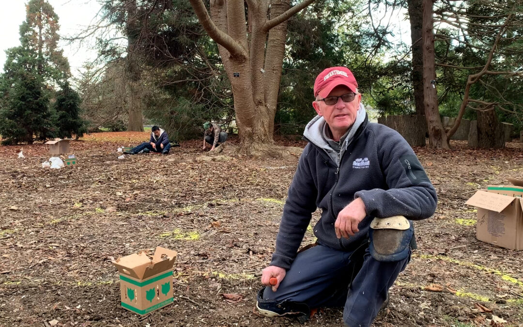 Gardener’s Almanac: Controlled Chaos Bulb Planting