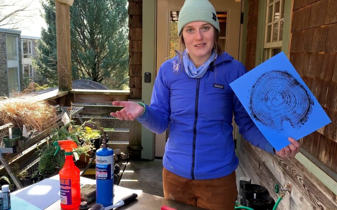 Gardener’s Almanac: Tree Stump Prints