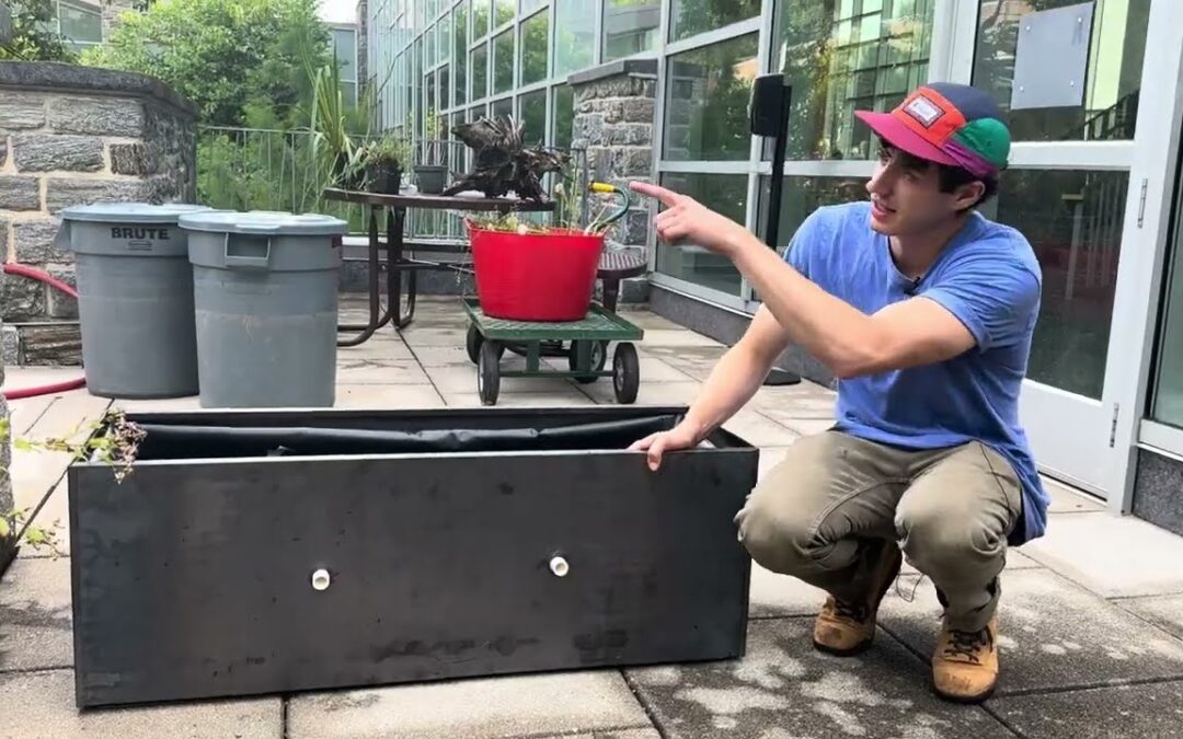 Gardener’s Almanac: Creating a Bog Container: Part One – Containers and Soil