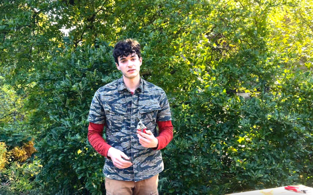 Gardener’s Almanac: Sharpening Felco Pruners