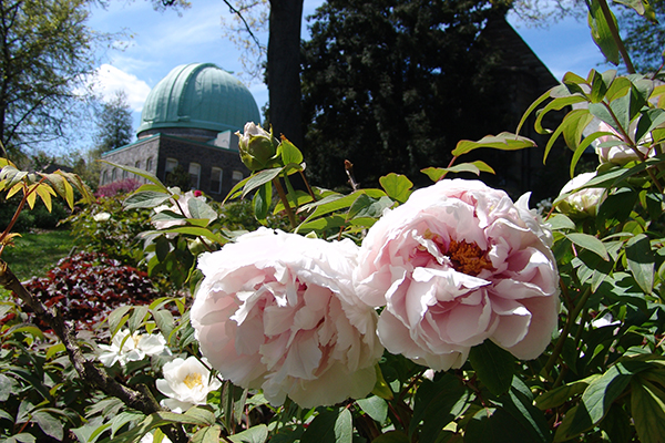 swarthmore college campus visit