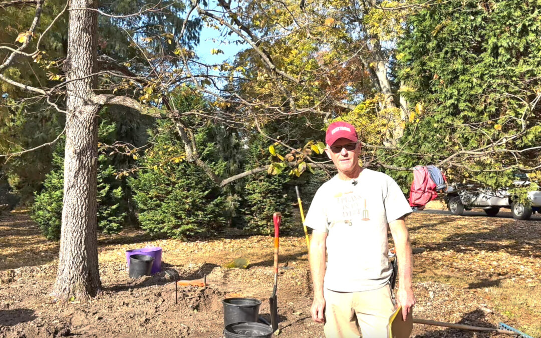 Gardener’s Almanac: Bulb Planting during a Dry Fall Season