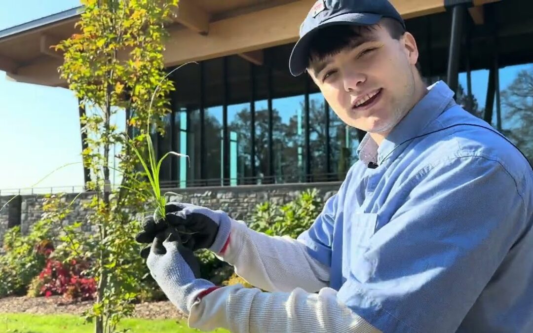 Gardeners Almanac: 7 Common Garden Weeds