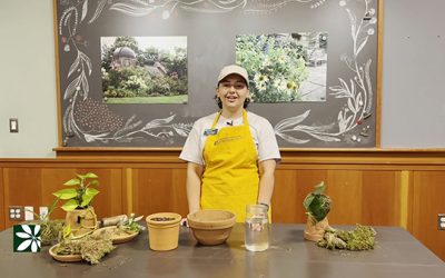 Gardener’ Almanac: Making a Kokedama Display