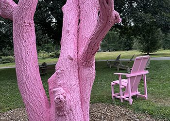 Little Princess is here! Ephemeral Environmental Art at Scott Arboretum & Gardens