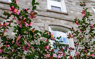 Plants of the Week: October 27