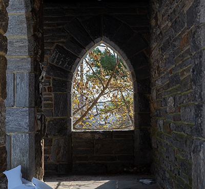 Seen through a stone archway, yellow Hamamelis flowers bloom by the Gender & Sexuality Center