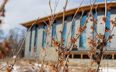 Plants of the Week: March 2