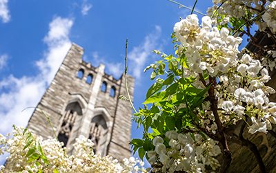 Plants of the Week: April 30