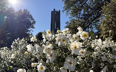 Plants of the Week: October 12